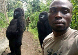 Meet your Posher, Amsden